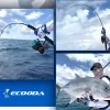 Ecooda online E monster Jigging