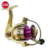 GW Reel - Tarazi Sport